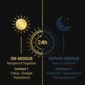 Das 24h Hormonregulationssystem